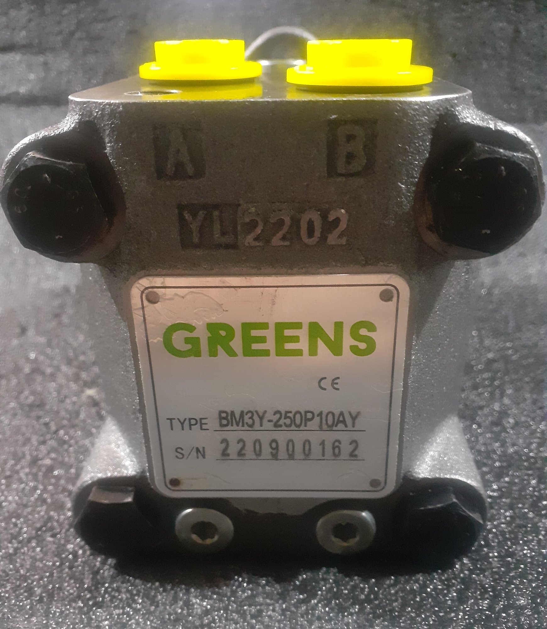 BMS250 HİDROMOTOR